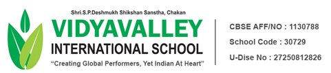 Vidya Valley International School Logo
